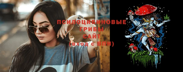 гашик Алзамай