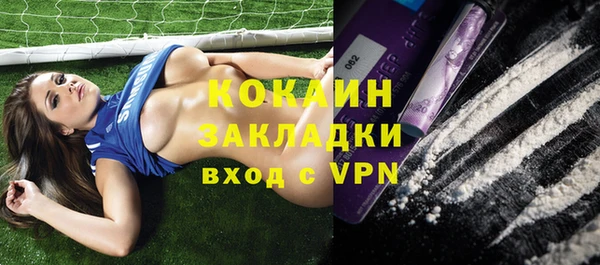 гашик Алзамай