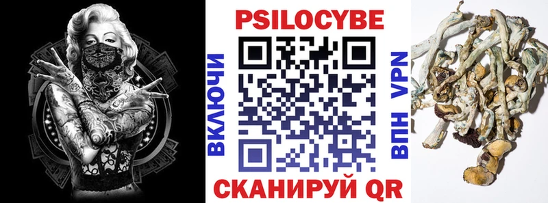 Купить закладки  Беслан  Галлюциногенные грибы GOLDEN TEACHER 